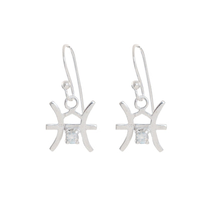 Zodiac Sign Earrings With Gemstones